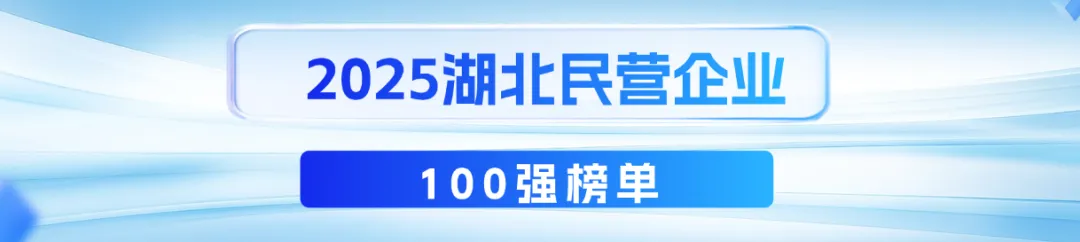2025湖北民企百强榜单发布！乐天使再次蝉联 &ldquo;双百强&rdquo;